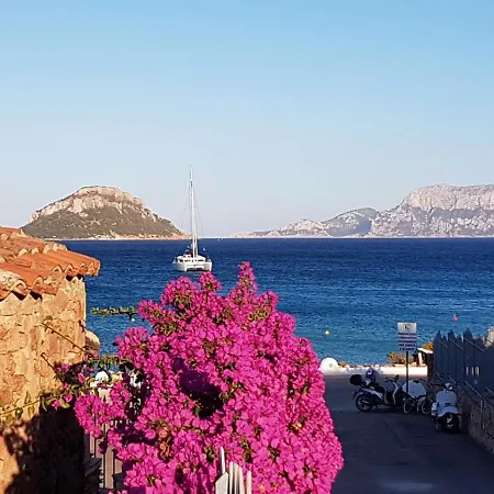 Borea Golfo Aranci