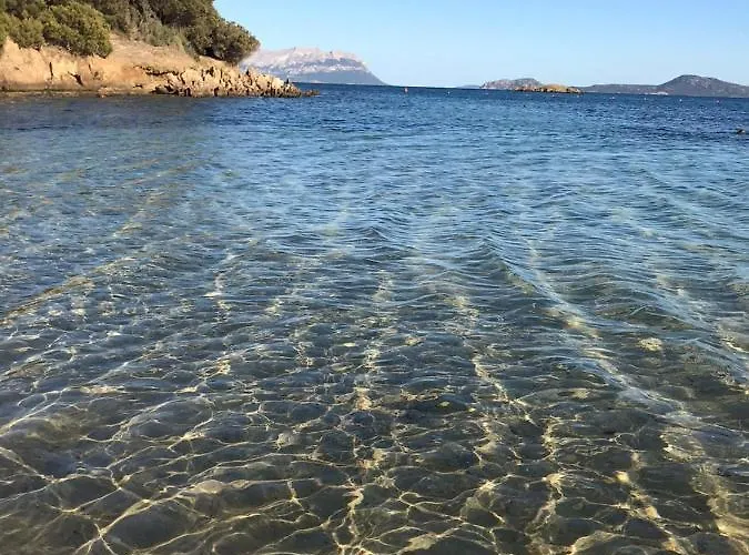 Borea Гольфо-Аранчи