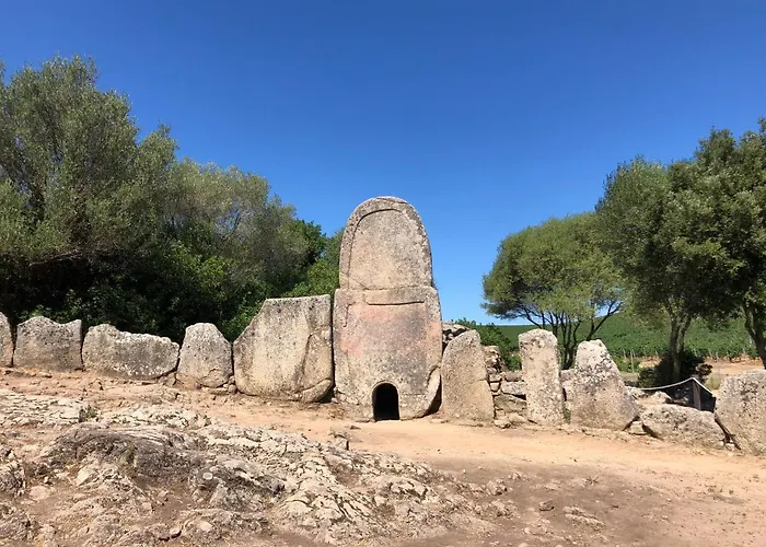 Borea * Гольфо-Аранчи