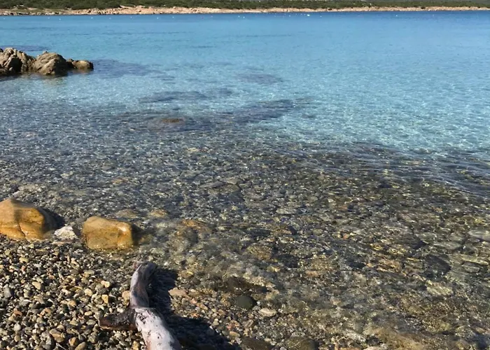 Дом отдыха Borea *